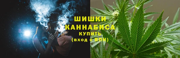 дурь Арсеньев