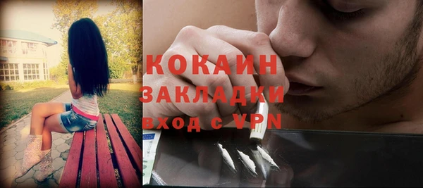 ГАЛЛЮЦИНОГЕННЫЕ ГРИБЫ Аркадак