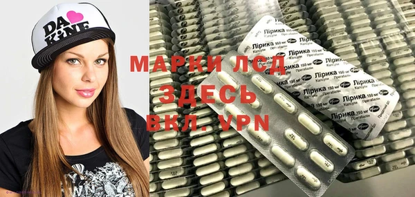 ГАЛЛЮЦИНОГЕННЫЕ ГРИБЫ Аркадак