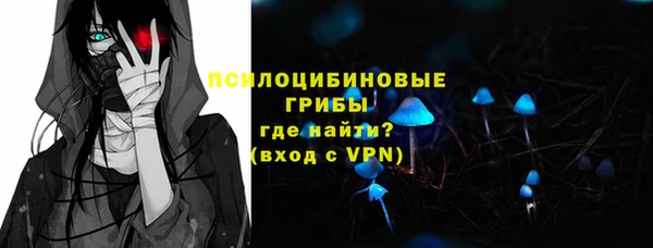 дурь Арсеньев
