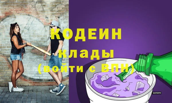 дурь Арсеньев