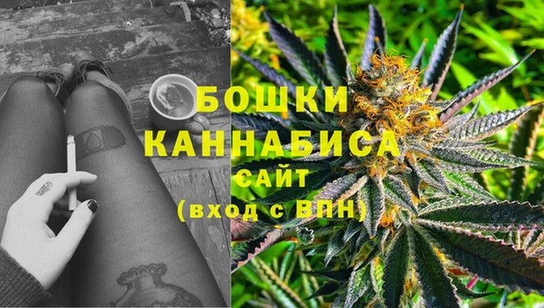 ГАЛЛЮЦИНОГЕННЫЕ ГРИБЫ Аркадак