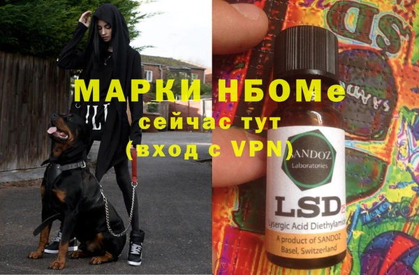 ГАЛЛЮЦИНОГЕННЫЕ ГРИБЫ Аркадак
