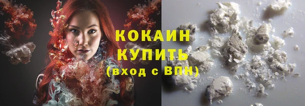 ГАЛЛЮЦИНОГЕННЫЕ ГРИБЫ Карпинск