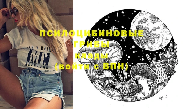 дурь Арсеньев