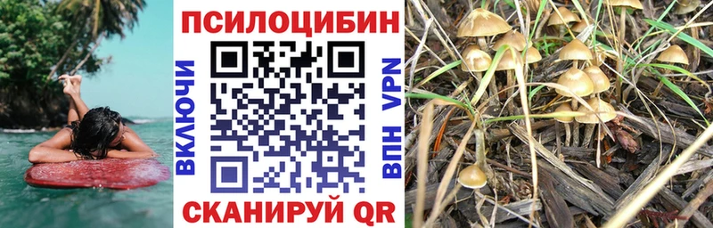 цены наркотик  Ленск  кракен tor  Галлюциногенные грибы Magic Shrooms 